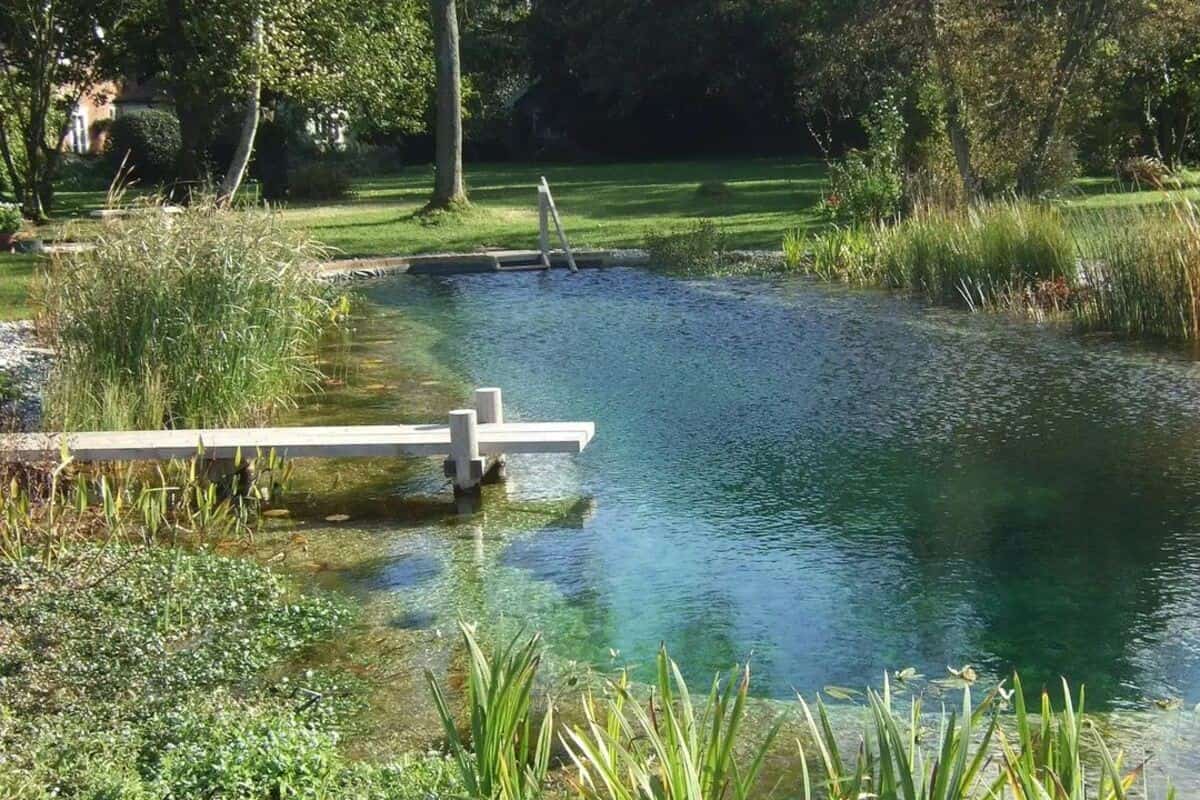 Natural Swimming Pool With Extras