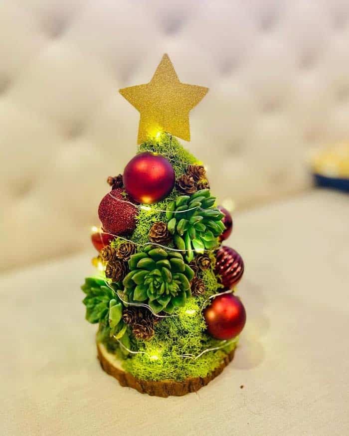 Be Charmed with Moss and Succulent Tree with Baubles