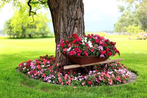 Harness Nature’s Beauty with a Vintage Petunias Flower Bed