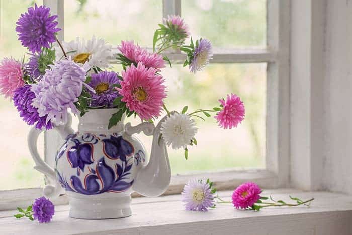 Create a Cheerful Atmosphere with Gerbera Flowers