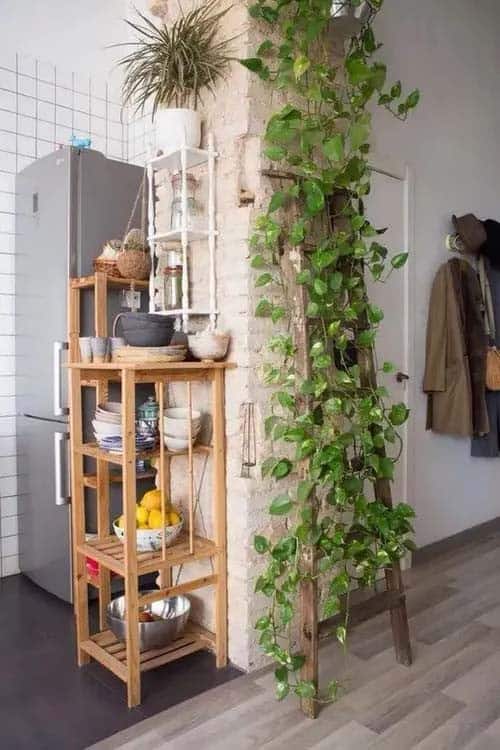 Add a Touch Of Greenery To Any Space