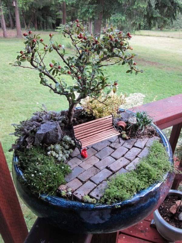 Make a Statement with a Bonsai Tree mini Garden