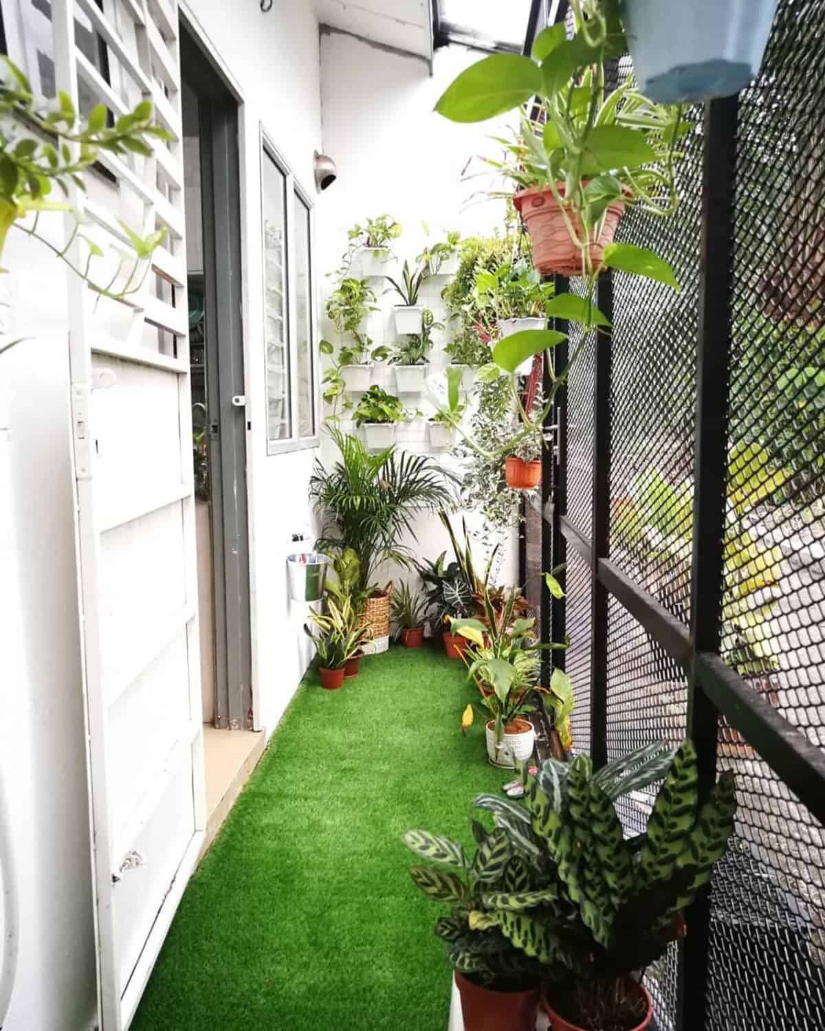 Mini Backyard