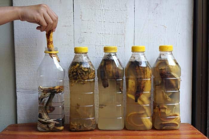 Feed Your Plants Banana Vinegar