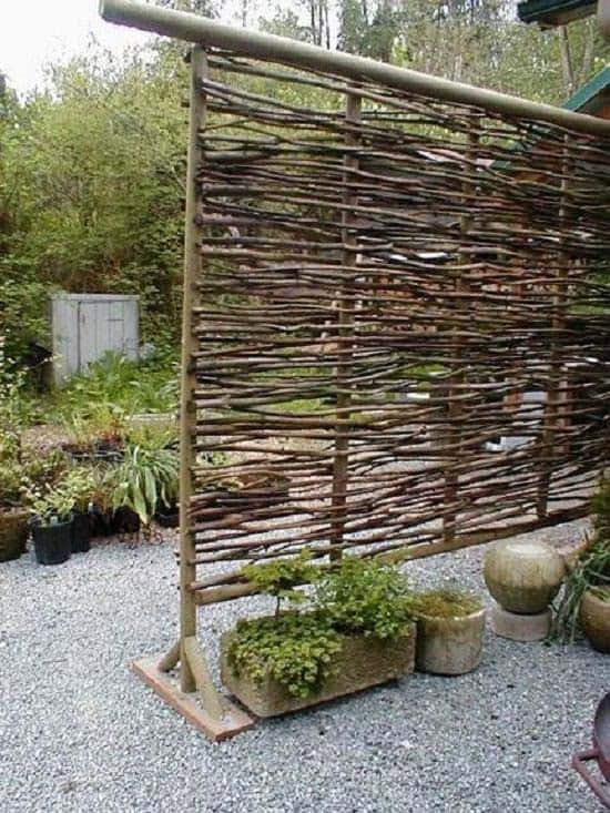 Tall Wattle Screen