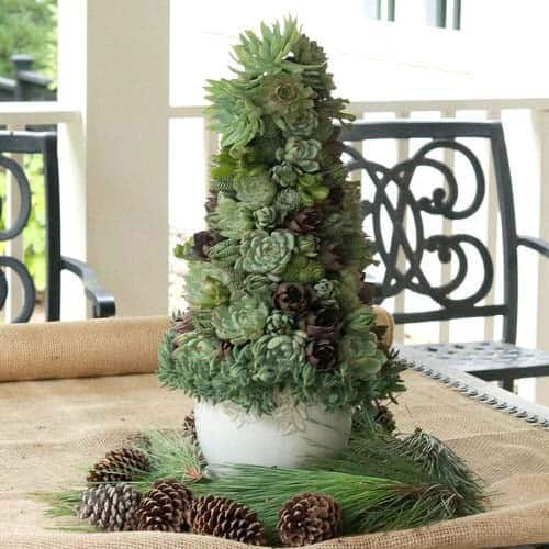 Spruce Up Christmas Decorations with a Succulent Tree