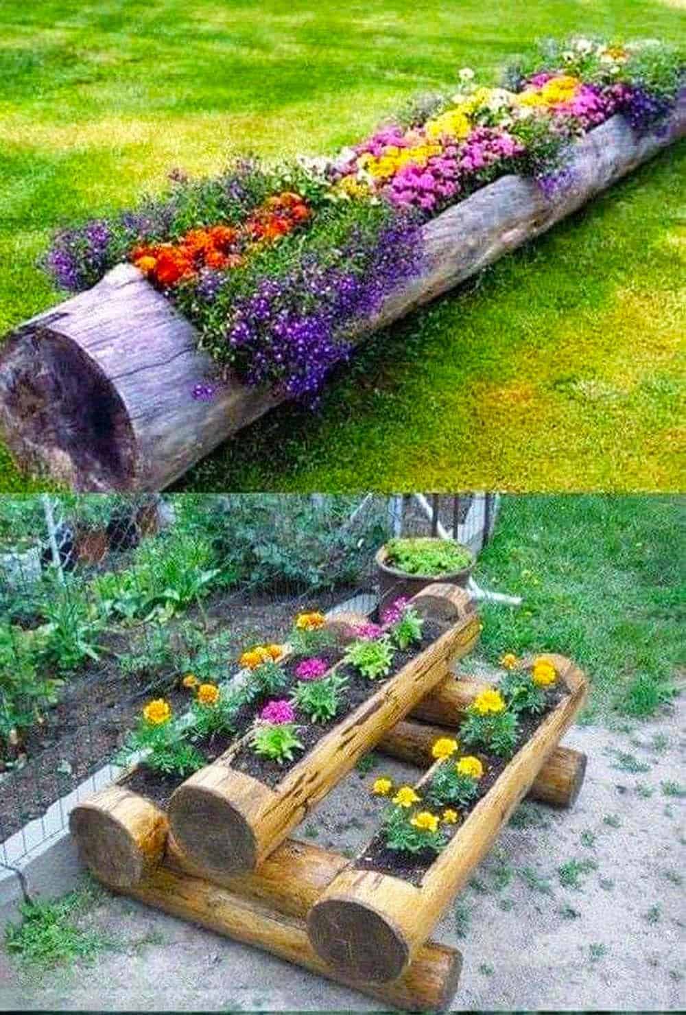 Log Planter Innovations