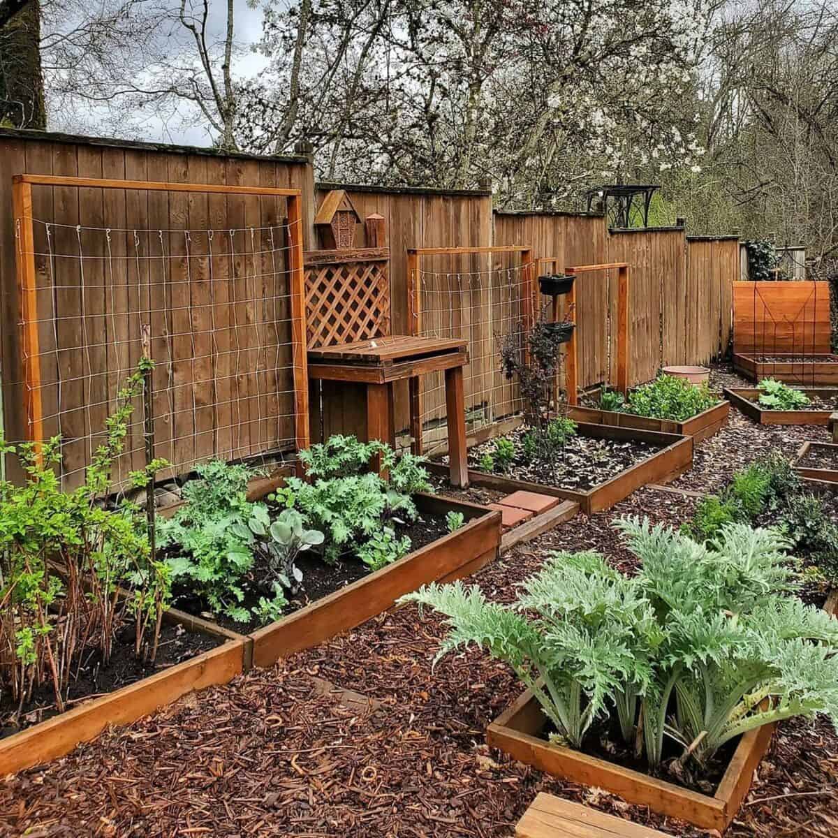 Wooden Frames With Net Filling Trellis Idea