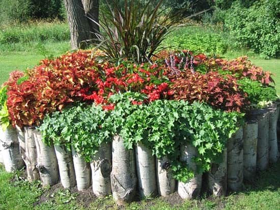 Birch Log Flower Bed Edging Idea