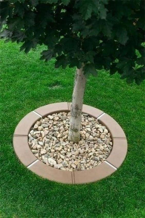 Modern Tree Edging Idea