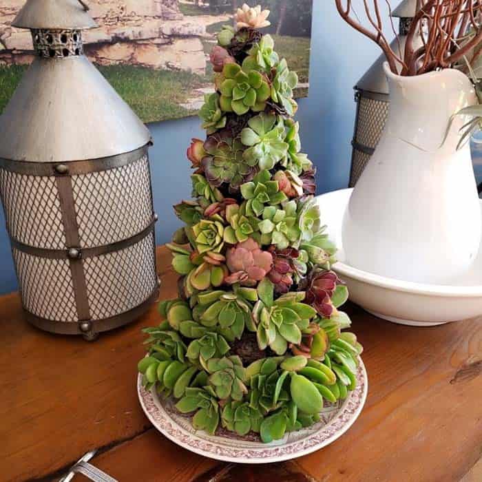 Adorn Your Table with a Succulent Tree Centerpiece