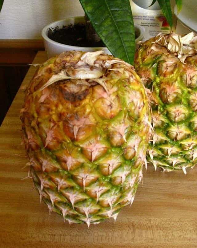 Pineapple flips storage ideas upside down!