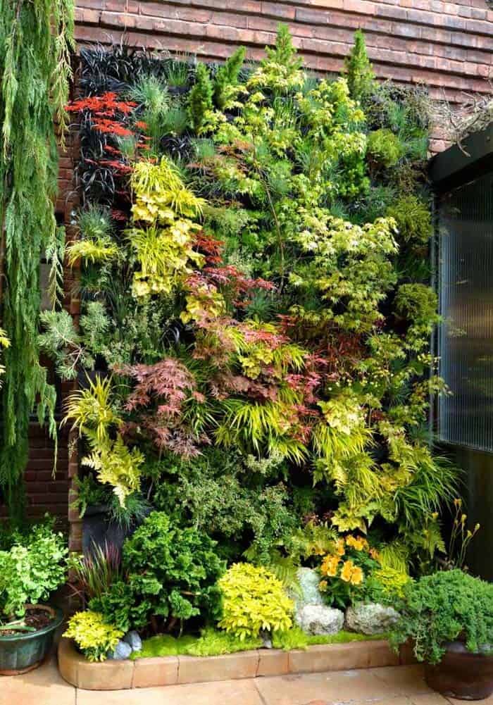 Living Wall Brings The Garden To Small Spaces