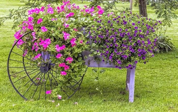 A Wheelbarrow Substitutes for Trellis