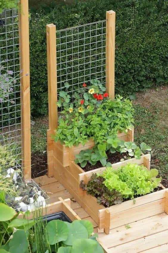 Tiered Raised Vegetable Garden