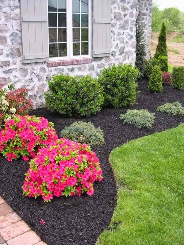 Beautiful Contrast with Evergreen Shrubs and Flowers