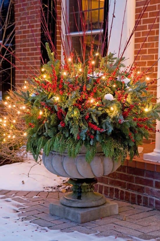 Bring Traditional Christmas Charm with a Potted Planter