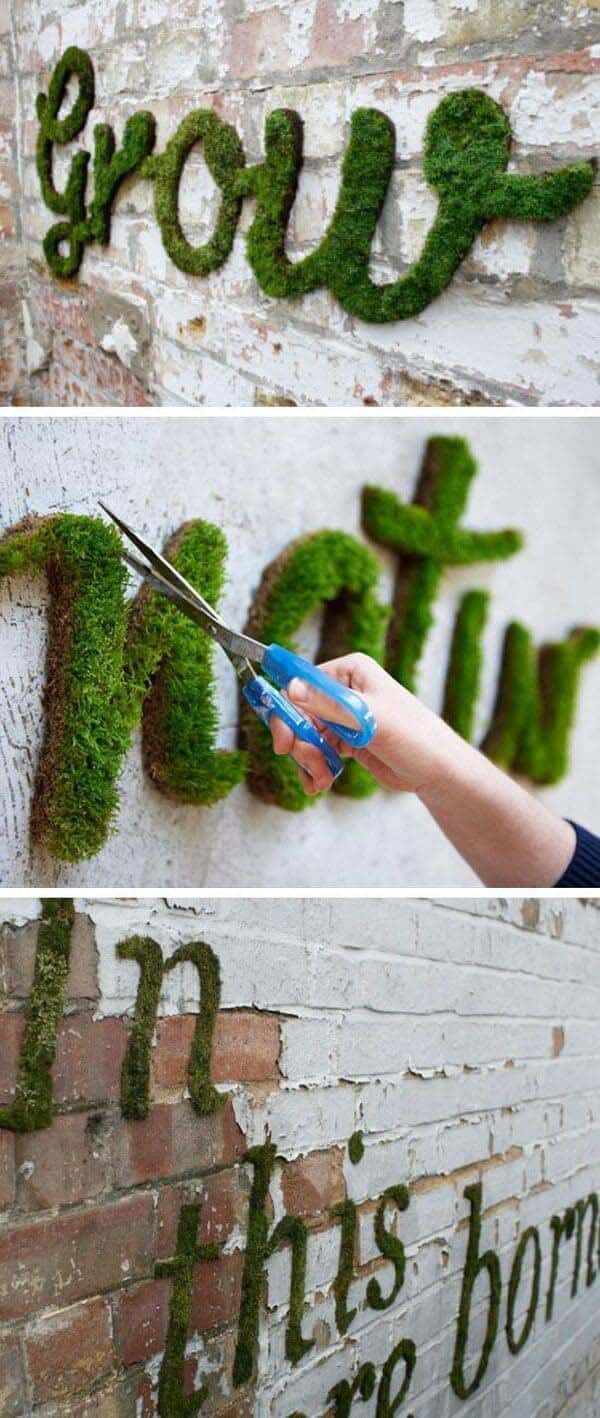 Create a Live Moss Artwork on Your Wall