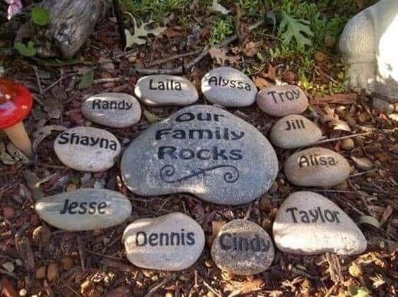 A Family Tree From Rocks