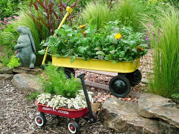 Plant Greens In Colorful Wagons