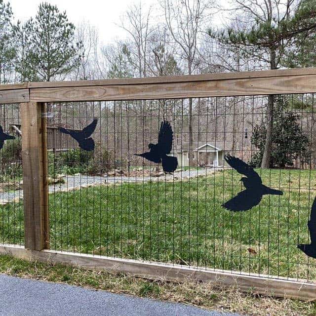 Decorated Dog Fence