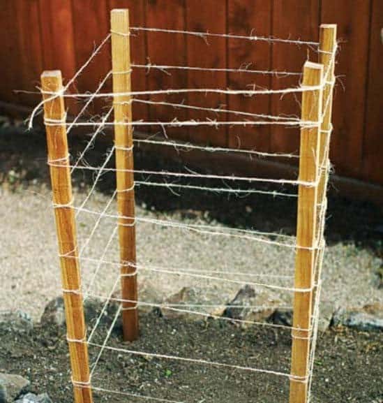 Easy Twine Cage Supports