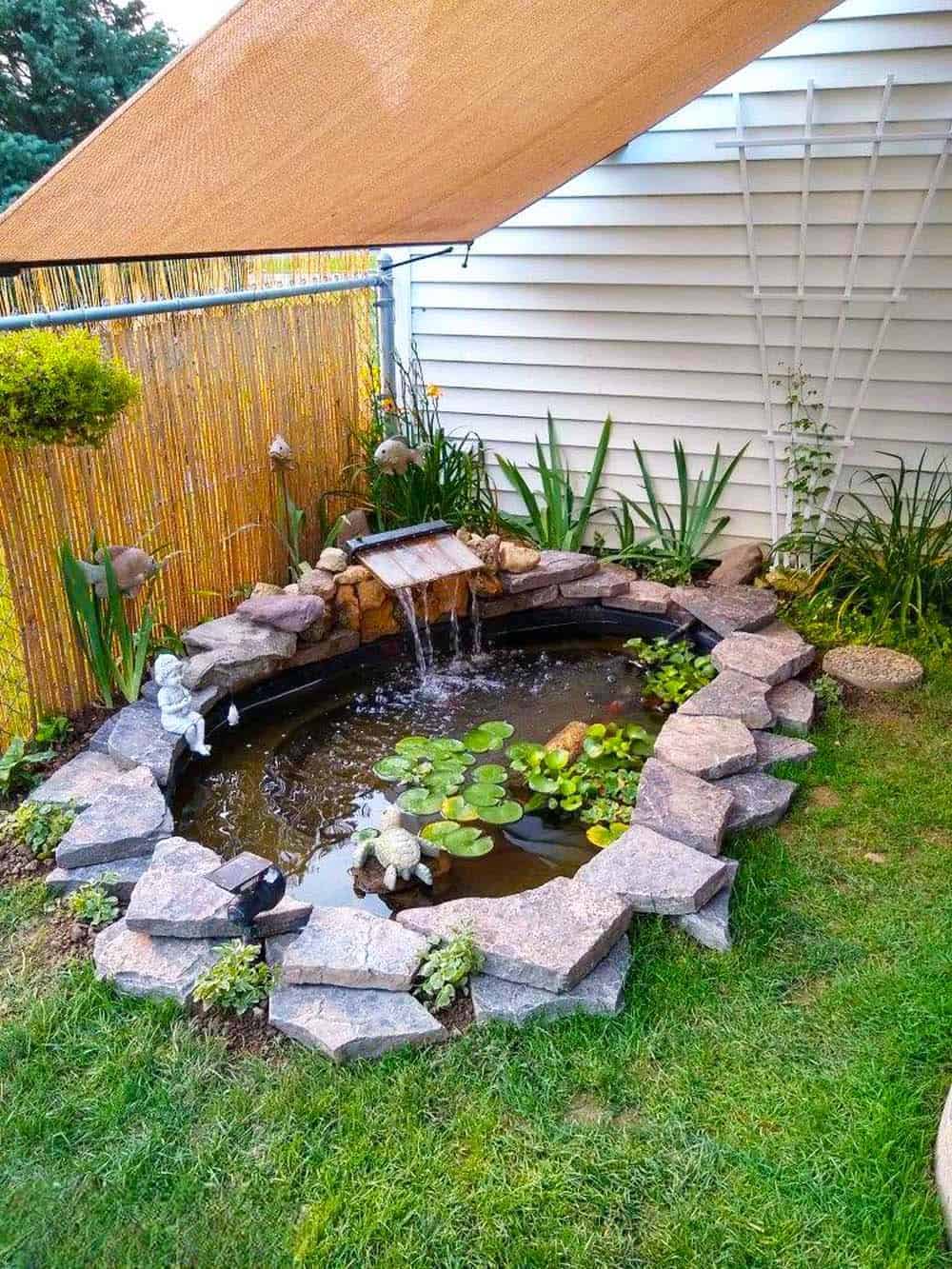 Backyard Water Oasis