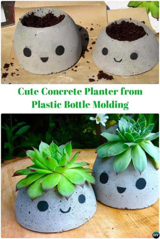 Adorn Your Home with Adorable Concrete Succulent Planters