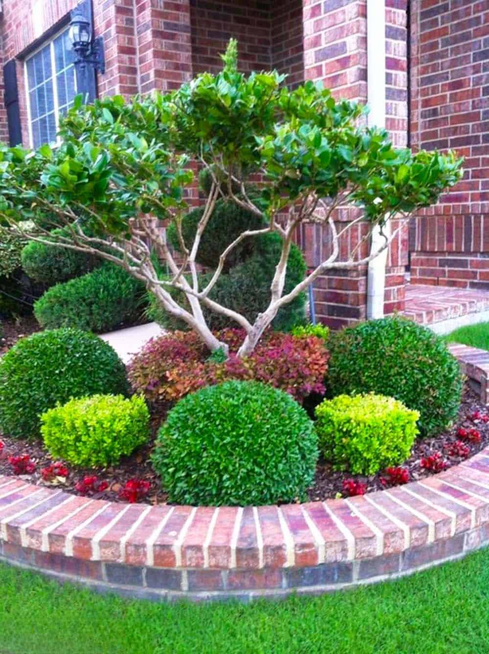 Manicured Garden Elegance