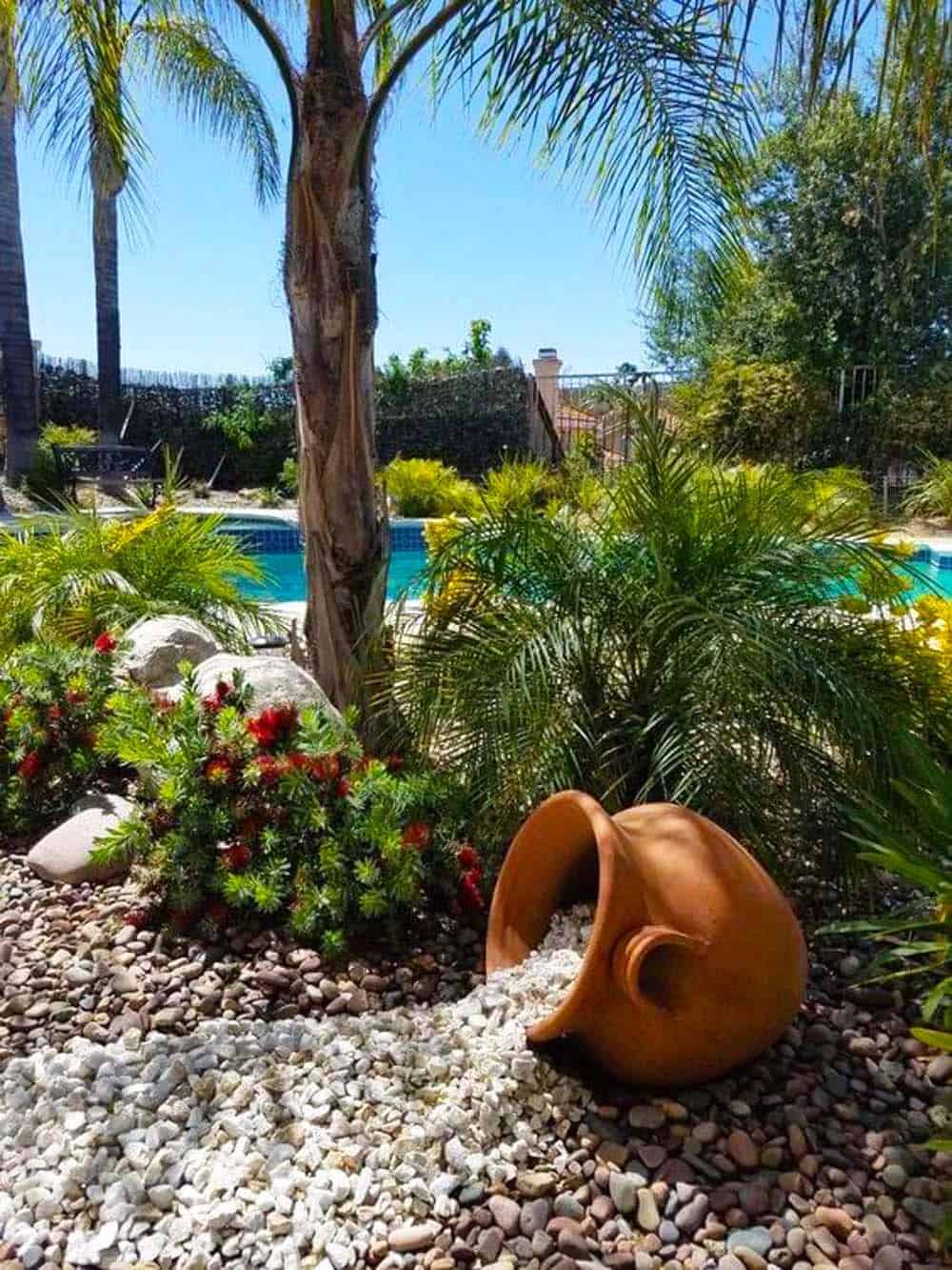 Poolside Plant Display