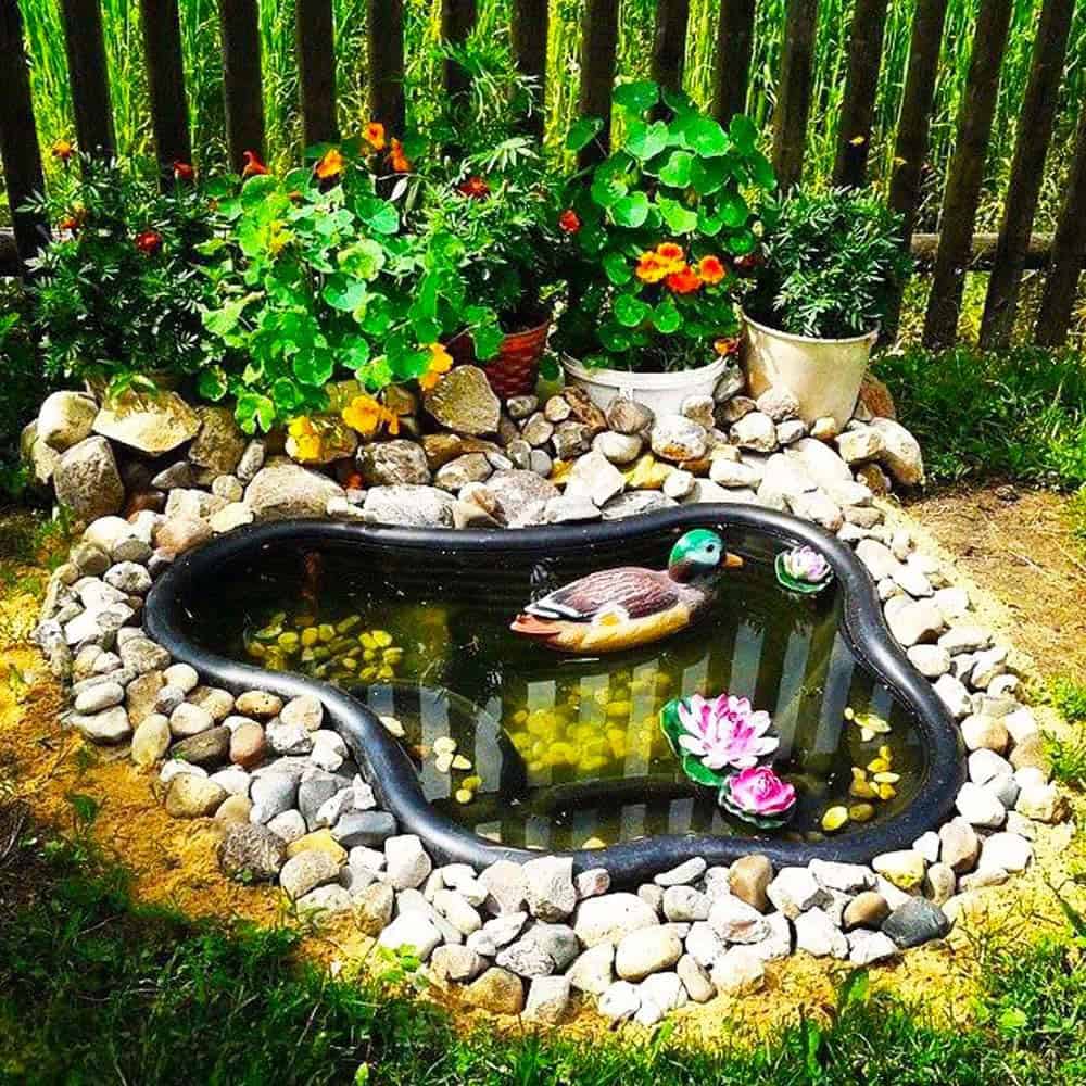 Quaint Garden Pond