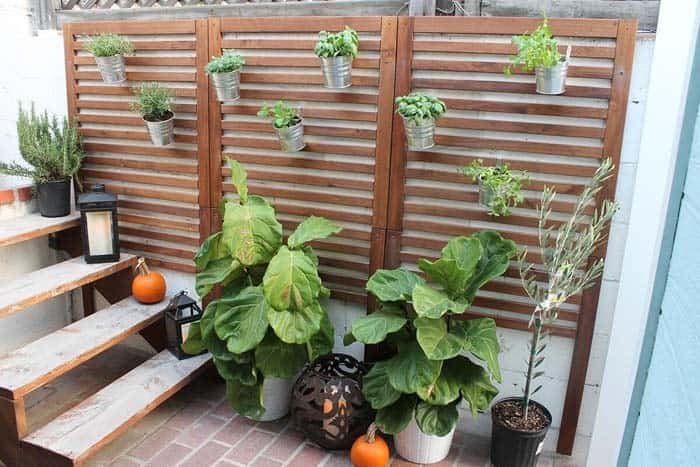 Horizontal Slat Fencing Becomes Vertical Garden