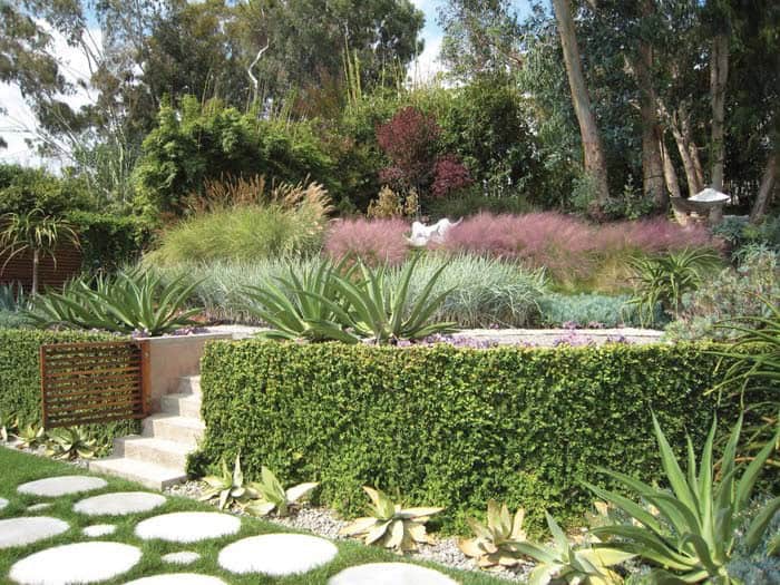 Add Texture to Your Retaining Wall with Climbing Ivy