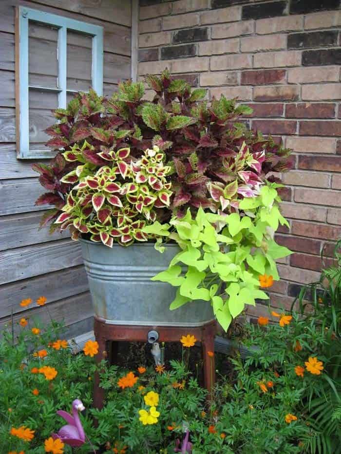 Rustic Planter Featuring Galvanized Metal and Lush Greenery