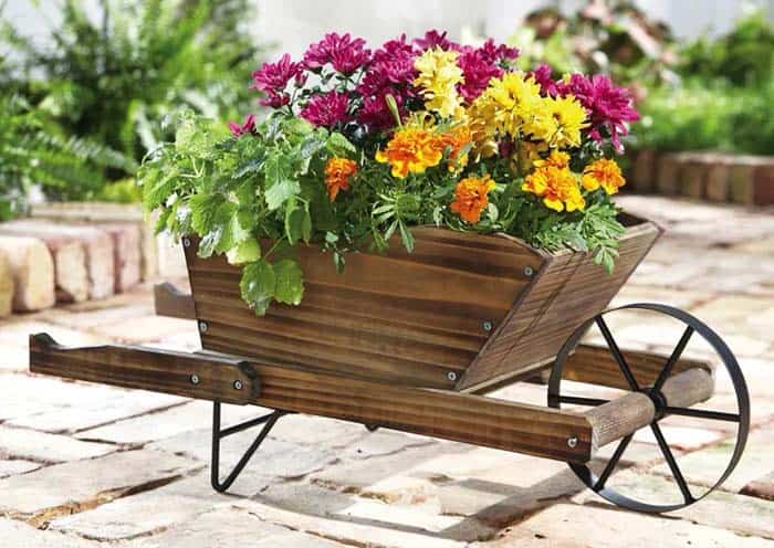 Garden Wheelbarrow Looks Unique With Marigolds