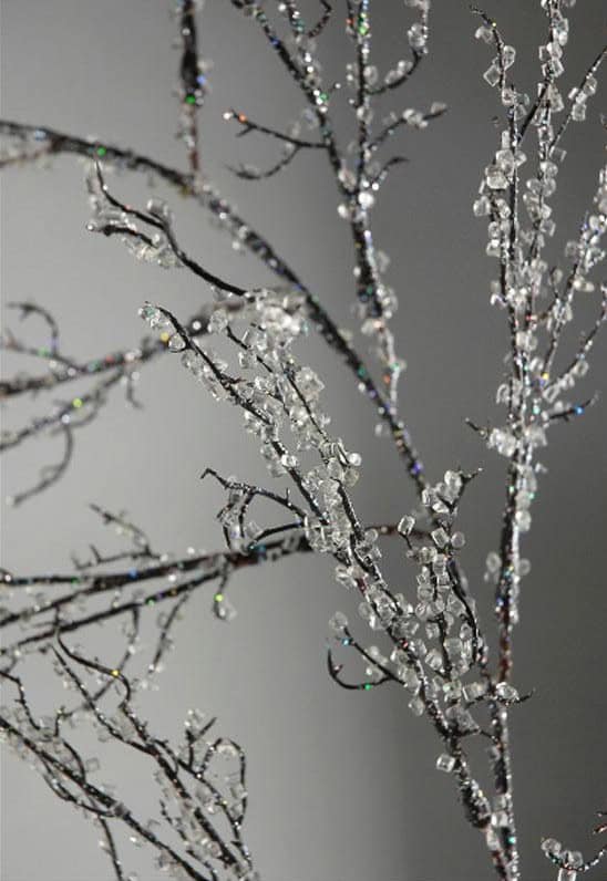 Add Sparkle to Your Home with Iced Branches