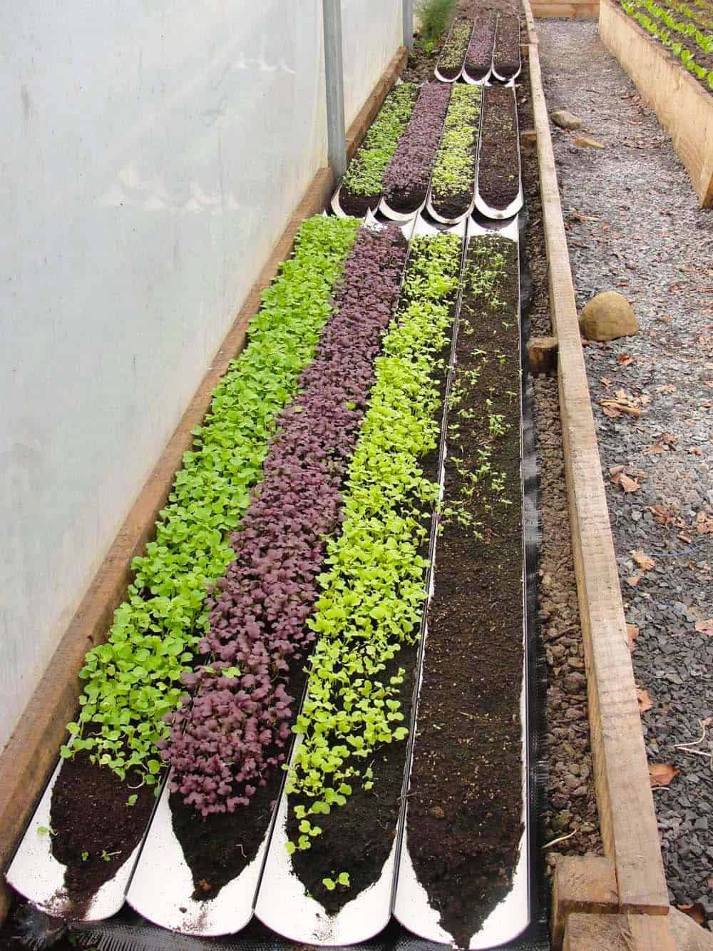 Sustainable Spoon Gardens