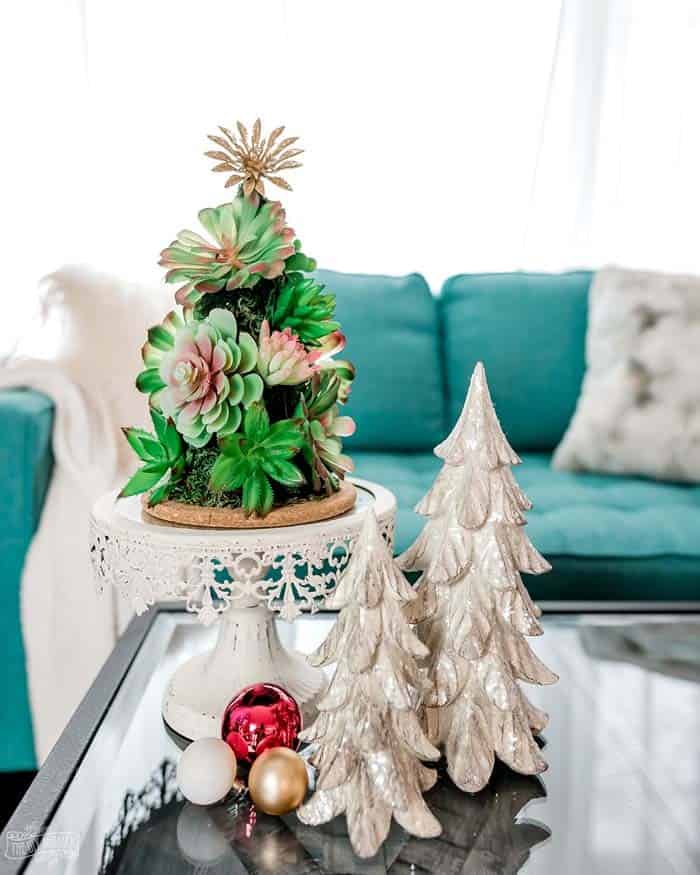 Embrace Minimalism with a Small Succulent Tree