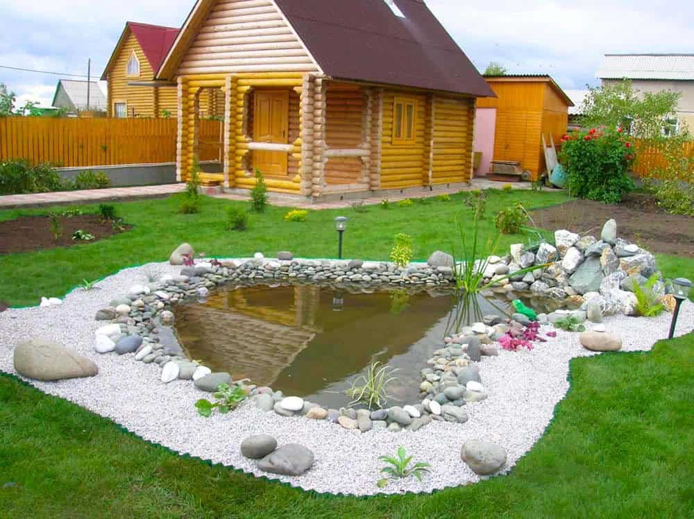 Tranquil Backyard Pond