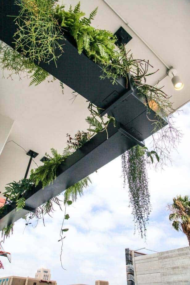 Transform Your Ceiling with Hanging Planters