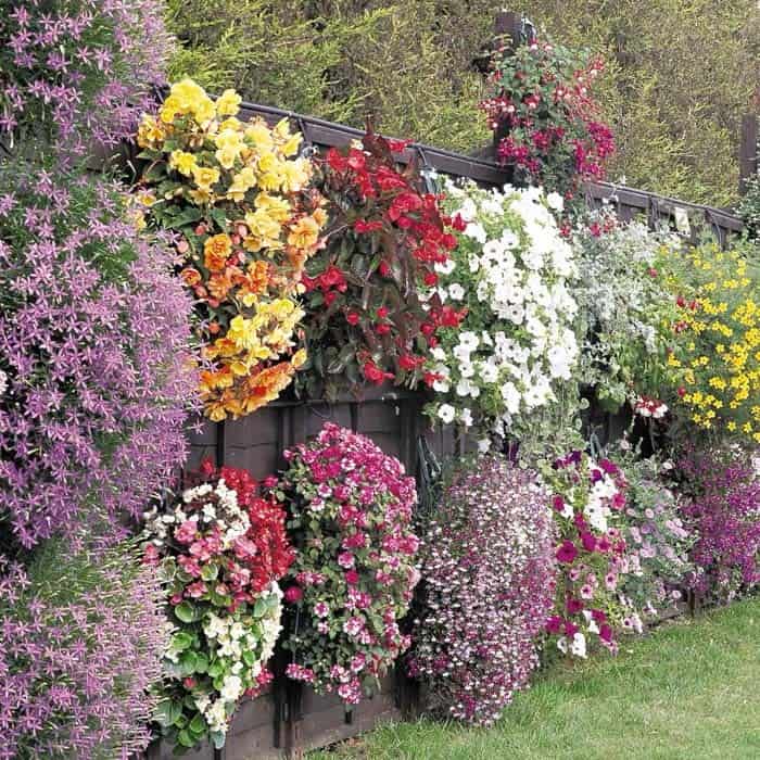 Wall Of Colorful Flower Baskets