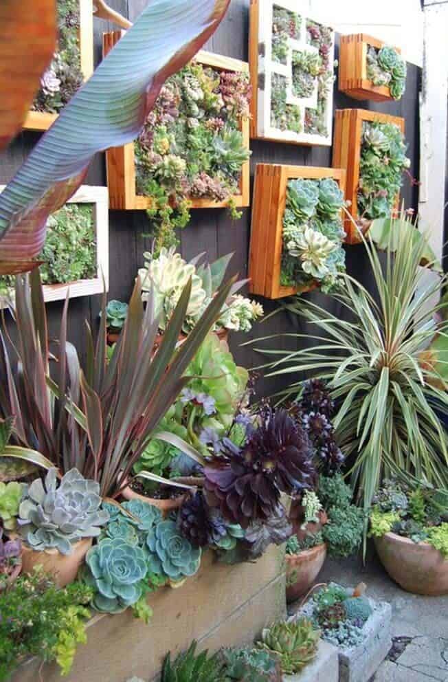 Framed Vertical Succulent Gardens