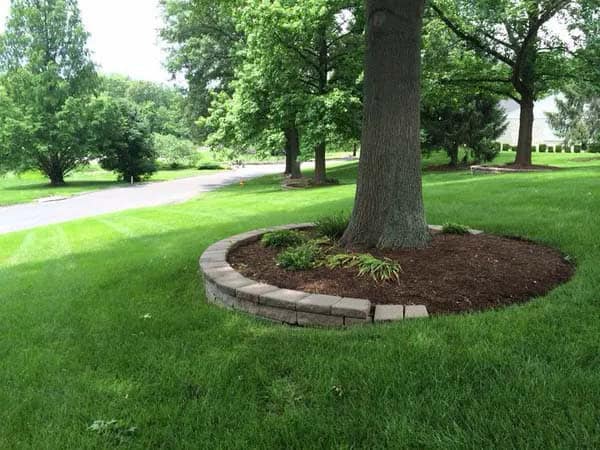 Retaining Wall Tree Edging Idea