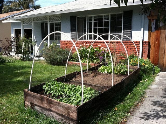 Tidy Contemporary: Raised Beds