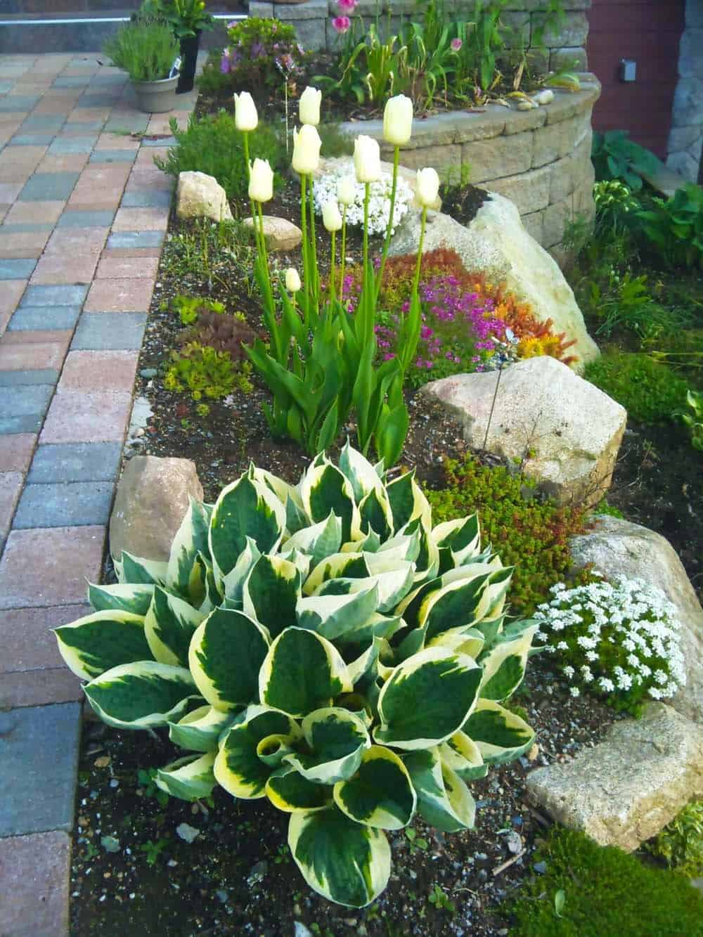 Springtime Garden Elegance