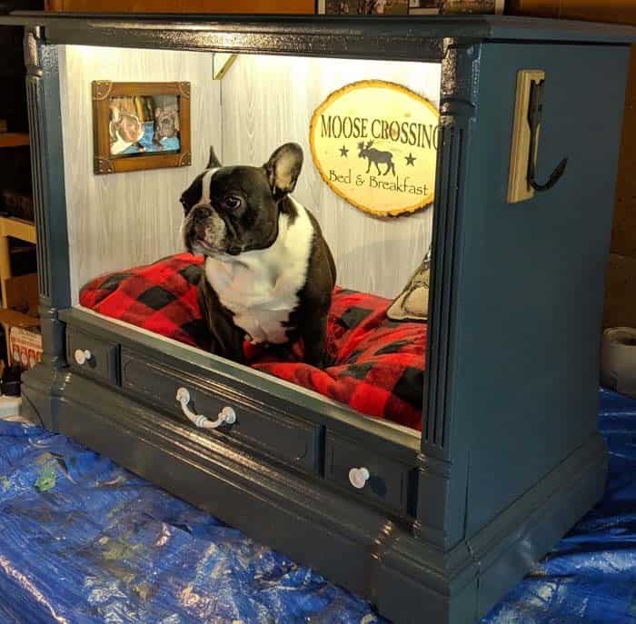 The Story Behind These Adorable Dog Beds