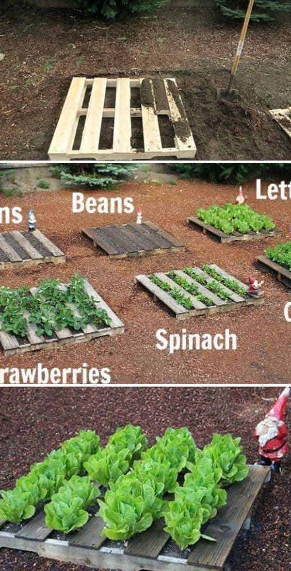 Creative DIY Pallet Garden