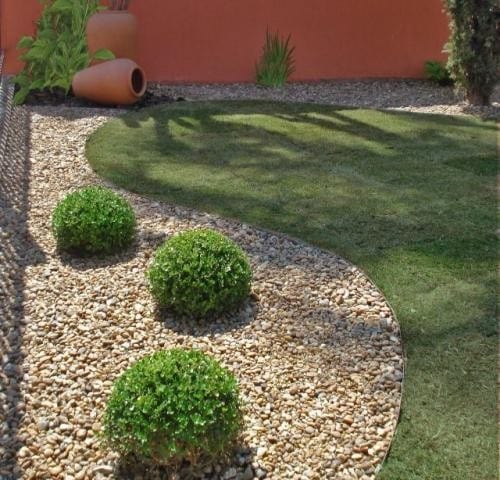 Embrace Minimalism with Small Bushes