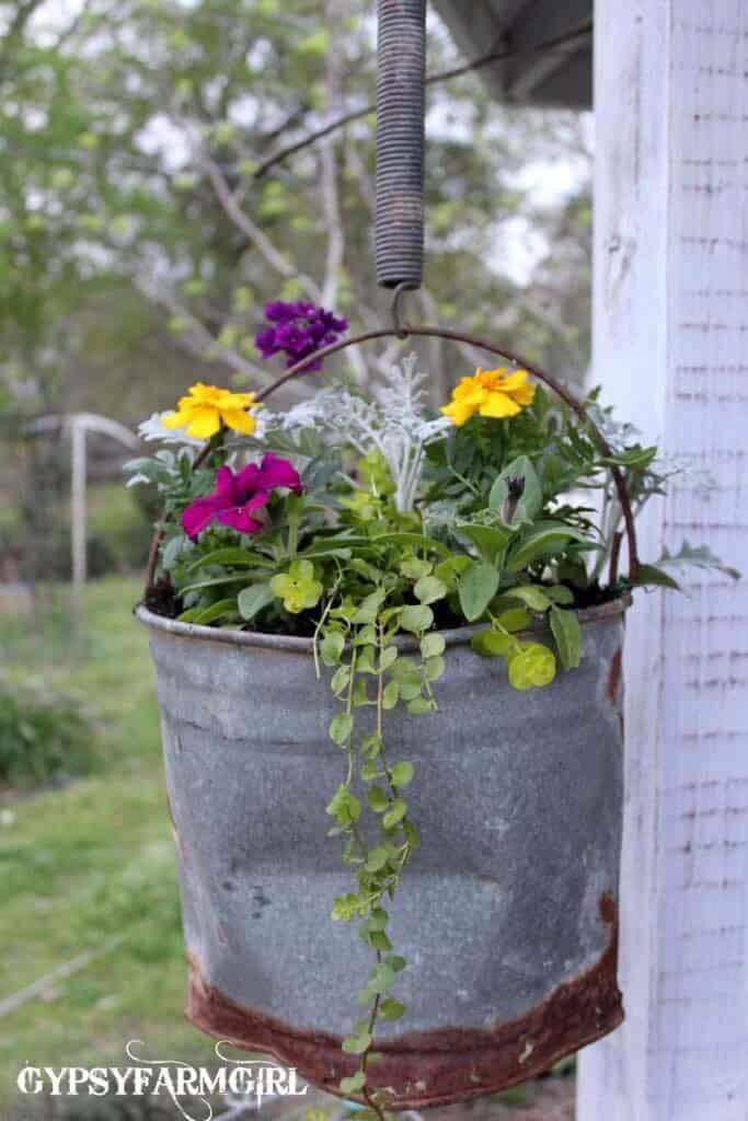 Hanging Flowers Enhance Rustic Bucket’s Charm