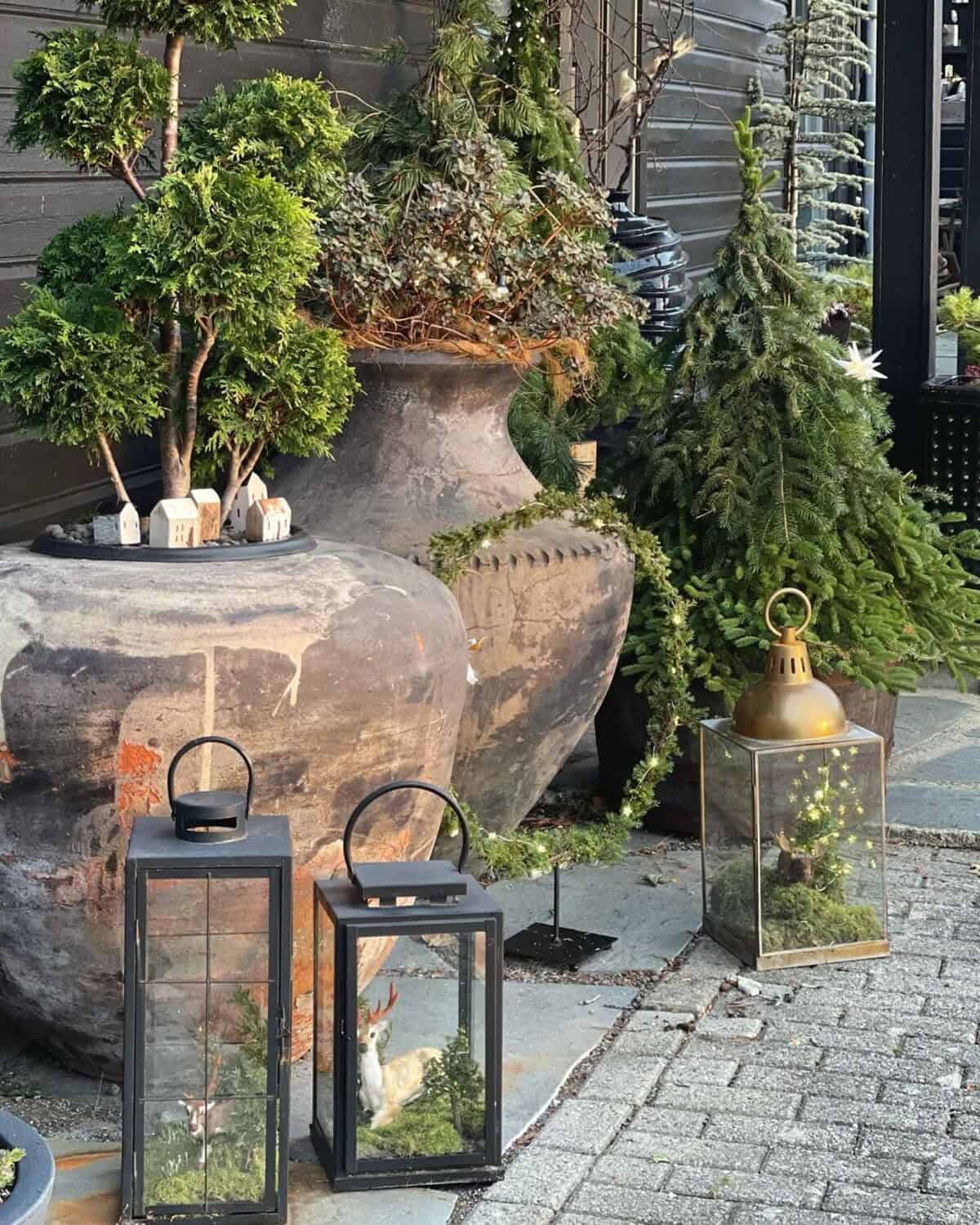 Terrariums In Lanterns